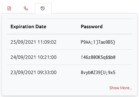 Computer Password Modal - History Tab